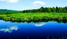 大自然我的最爱