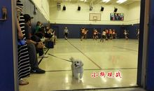 平常又不平常的晚自习