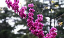 我爱雨后的公园