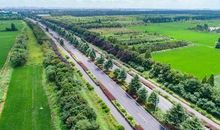 我家门口那条路