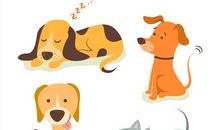 小狗照镜子漫画作文