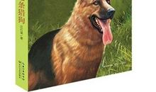 《第七条猎狗》读后感