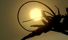 奔向心中的太阳