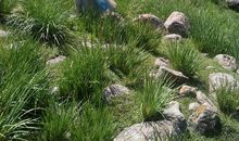 流淌在心中的暖