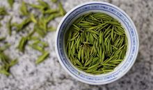 文化如树传承如根