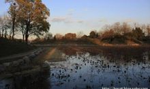 初冬风，我的所见_900字