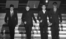 我家的“四大天王”