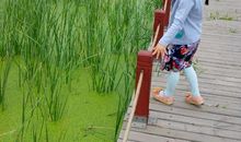 宽容别人快乐自己