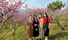 校园里的一缕花香