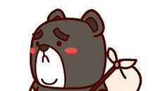 可爱的“追熊族”