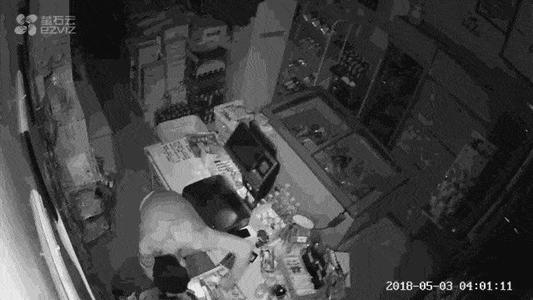 不请自来的嘉宾进入课堂400字