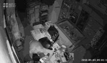 班里来了不速之客作文400字