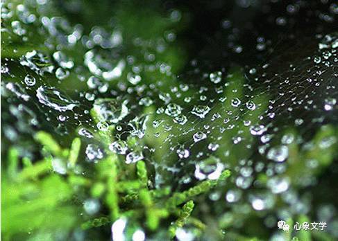 故乡雨