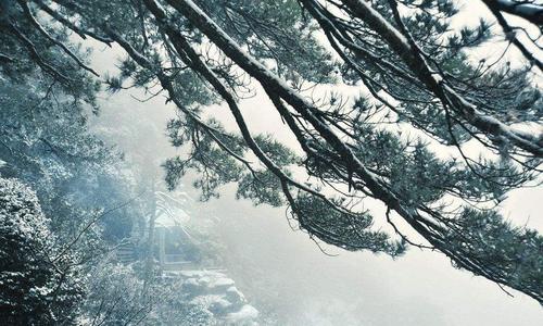 当雪融化时