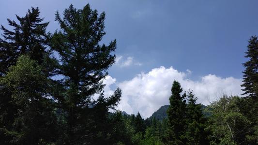 山区一日游