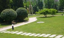 我喜欢那一抹绿