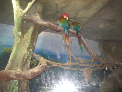 游览西安极地水族馆