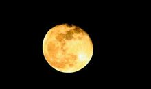 谢谢你皎洁的月亮