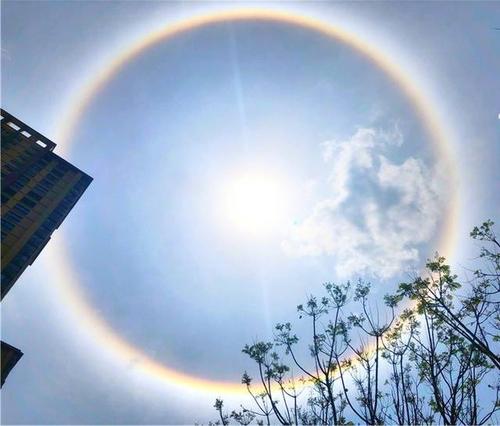 太阳光环眼镜