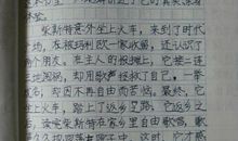 时代广场的蟋蟀读后感