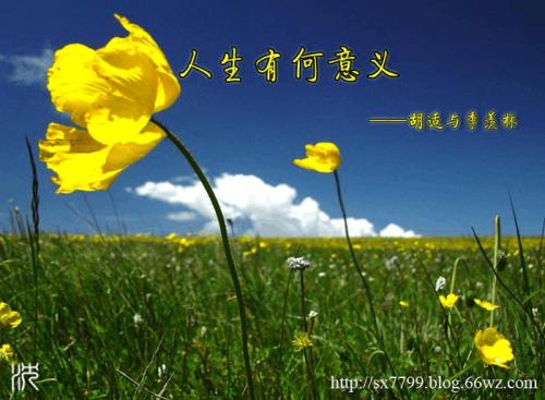 活着的意义