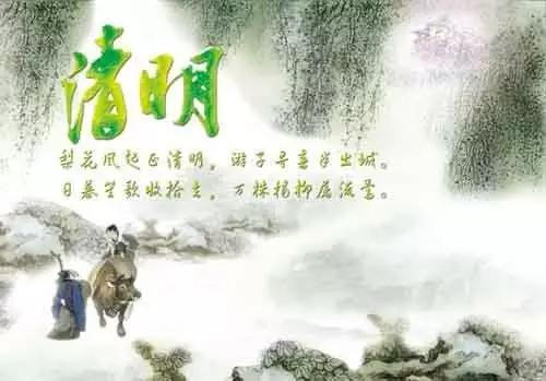 梨花结清明