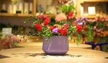 种花让生活更美好