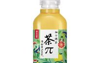 写柚子的作文500字