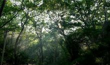 皇藏峪国家森林公园