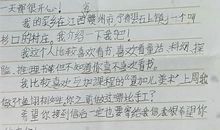 给远方妹妹的一封信