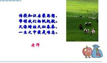 我是春天的雨点