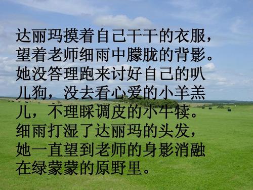 春天的雨滴