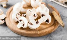 关于蘑菇的作文