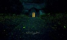 寂寞的雨季_1500字