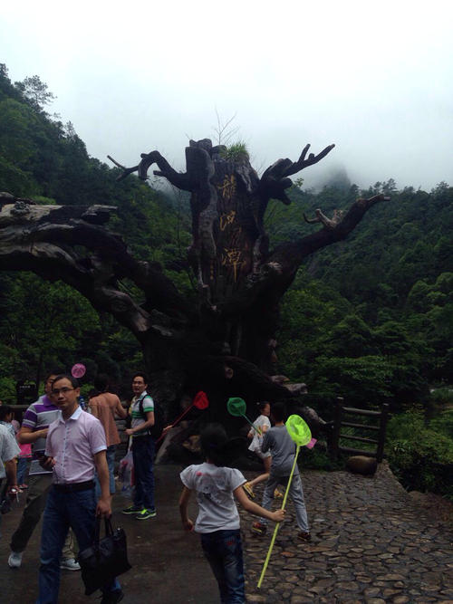 美丽的龙湾湖