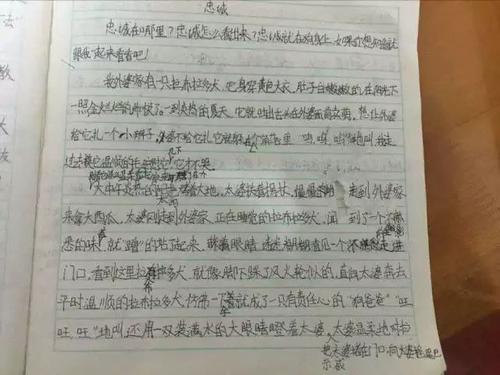 围绕音乐人物写作