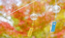 记忆停留在那年秋天