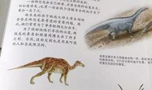 我与恐龙的亲密接触