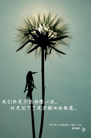 距离产生美丽