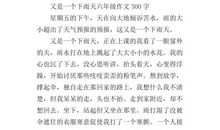 我讨厌下雨天作文500字