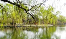 美丽的玉潭公园