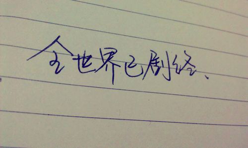 不言而喻的爱