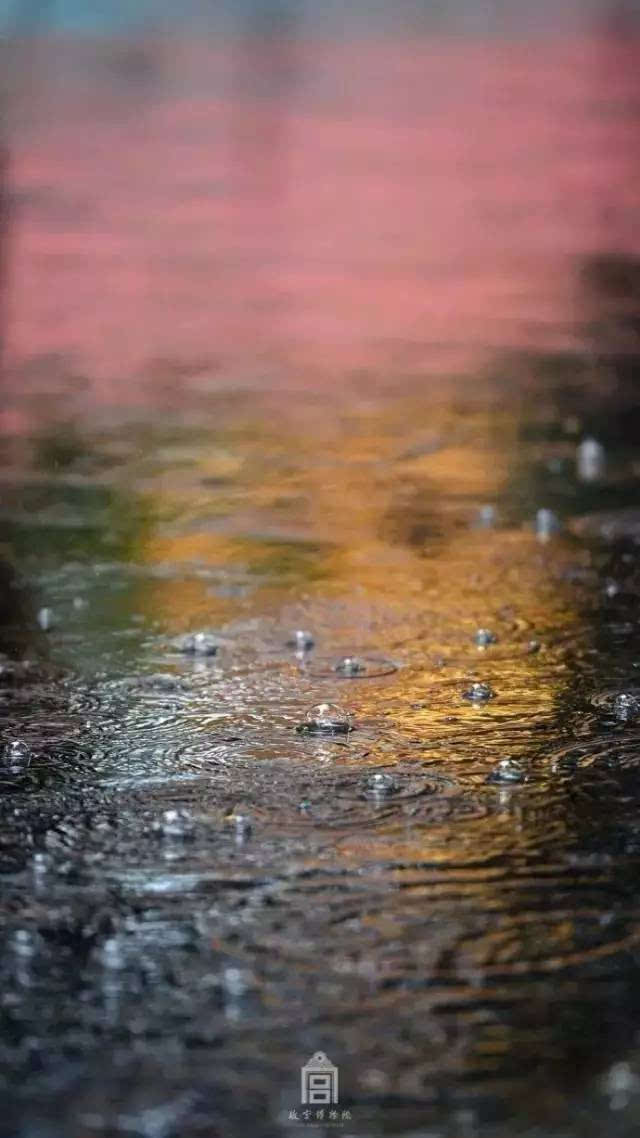 一场雨