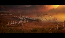 妈妈咪鸭电影观感