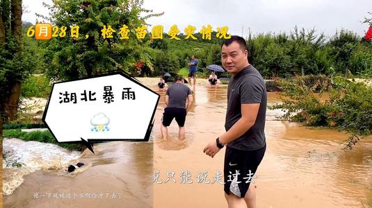 夏夜在乡下，我的最爱_750字