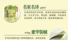 帕多瓦的小爱国者读后感