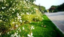 成长路上，有妈真好