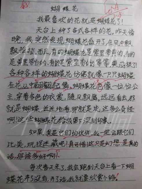 用雾写构图