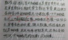 用雾写一篇作文