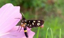 骑车赏景_1500字